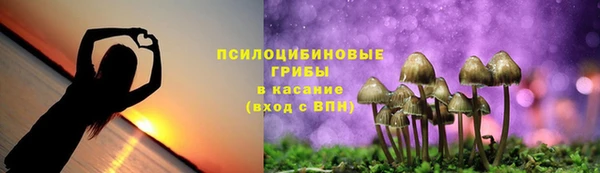 трава Кулебаки