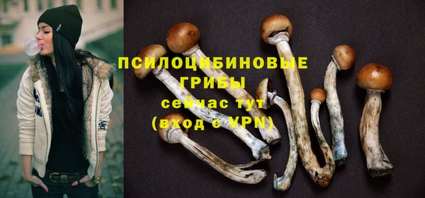 твердый Куйбышев