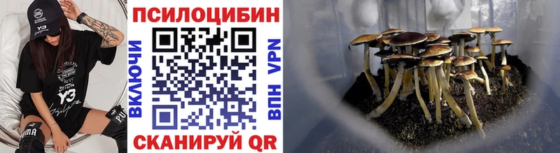 Псилоцибиновые грибы ЛСД  Купить где  Бородино 